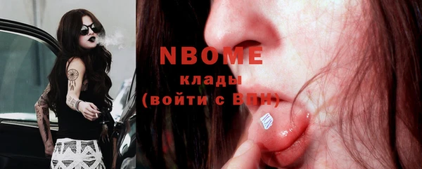 шишки Коряжма