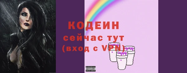 крисы Богородицк
