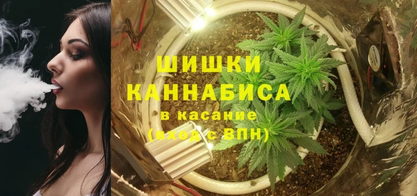 ПСИЛОЦИБИНОВЫЕ ГРИБЫ Алексеевка